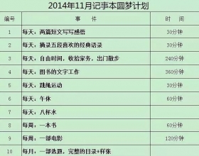 100天完美计划：我就是靠它干掉拖延，改善生活，规划未来的