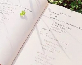 姑娘，不要将被撩当做喜欢
