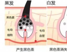 纯植物染发的染发原理原来不一样！