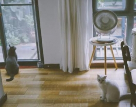 冬天在室内也瑟瑟发抖？收好这份全国取暖大法