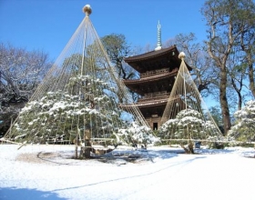 北海道成无人雪国 2021年你还在继续想念日本吗？