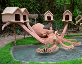 花费23万给8条狗装修狗别墅 买10000㎡地做游乐园