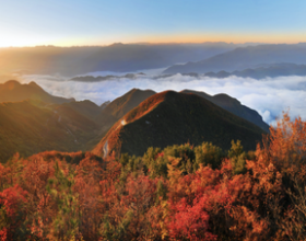 三峡红叶季马上登场 国内冷门赏枫天花板