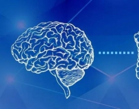 为什么腹泻选择益生菌会比抗生素好用？一篇看明白！